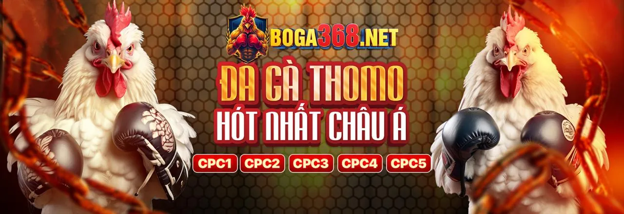 Biểu đồ tỷ lệ cược hấp dẫn và hoàn trả cao